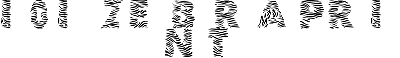Download 101! Zebra Print