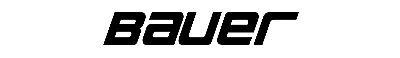 Download Bauer