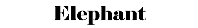 Download Elephant