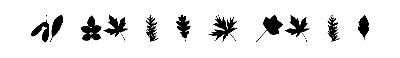 Download JI Nature Bats