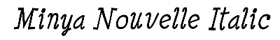 Download Minya Nouvelle Italic