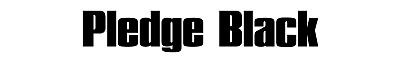 Download Pledge Black
