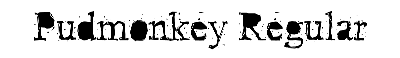 Download Pudmonkey Regular