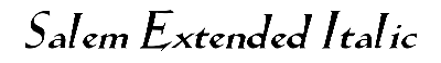 Download Salem-Extended Italic