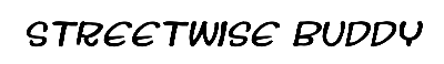 Download Streetwise buddy