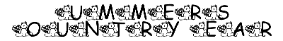Download Summer's Country Bear