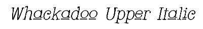 Download Whackadoo Upper Italic
